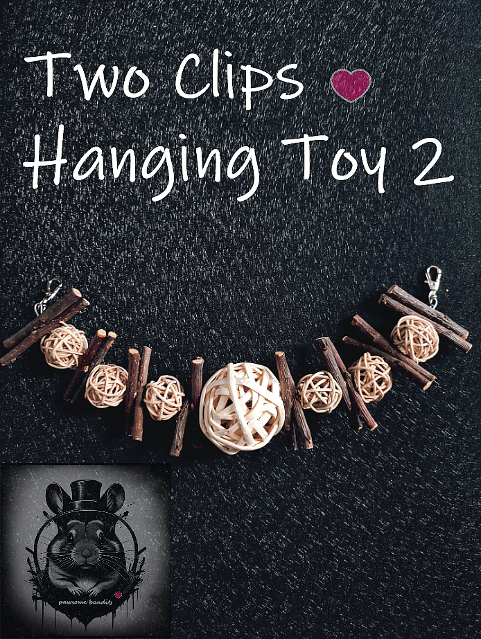 Two Clips Hanging Toy 2