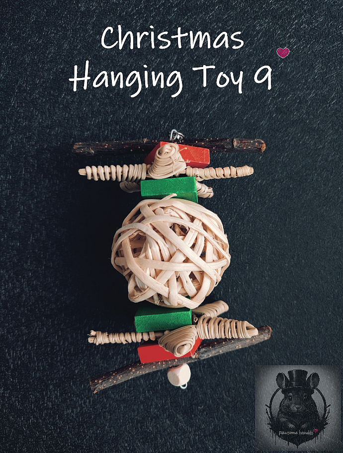 Christmas Hanging Toy 9