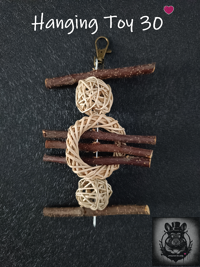 Hanging Toy 30