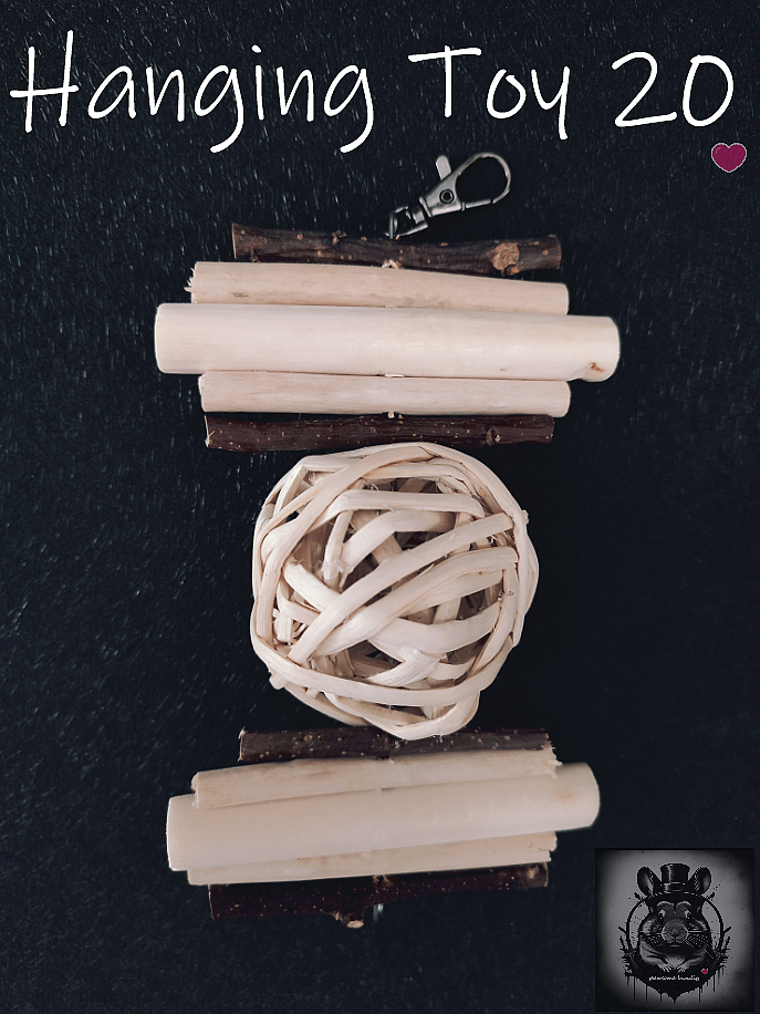 Hanging Toy 20