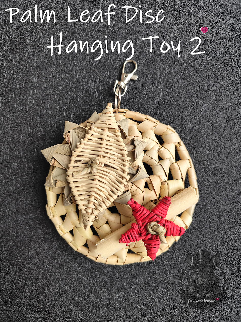 Palm Leaf Disc Hanging Toy 2
