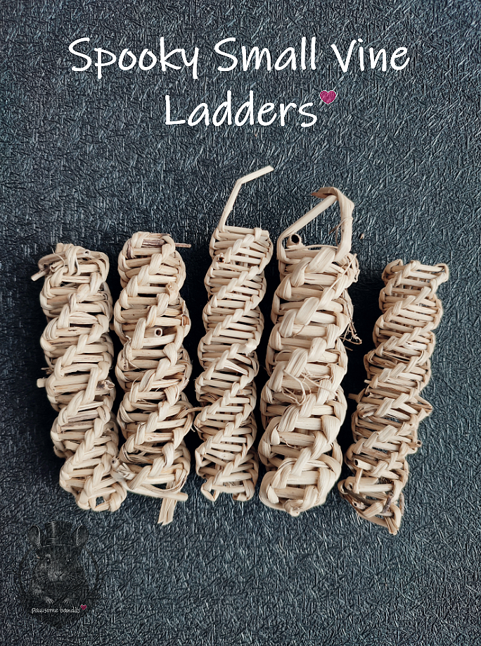 Spooky Small Vine Ladder