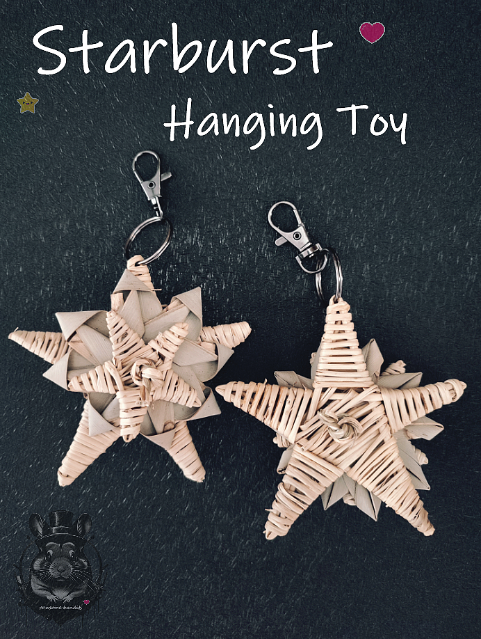 Starburst Hanging Toy