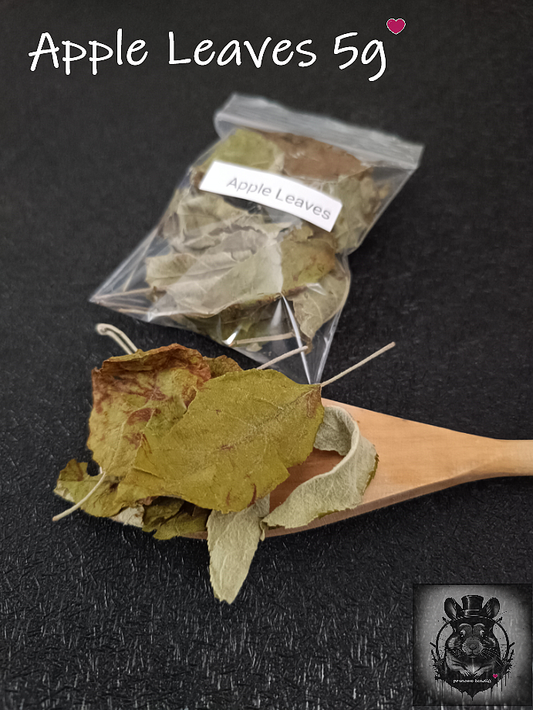 Natural Apple Leaves 5g