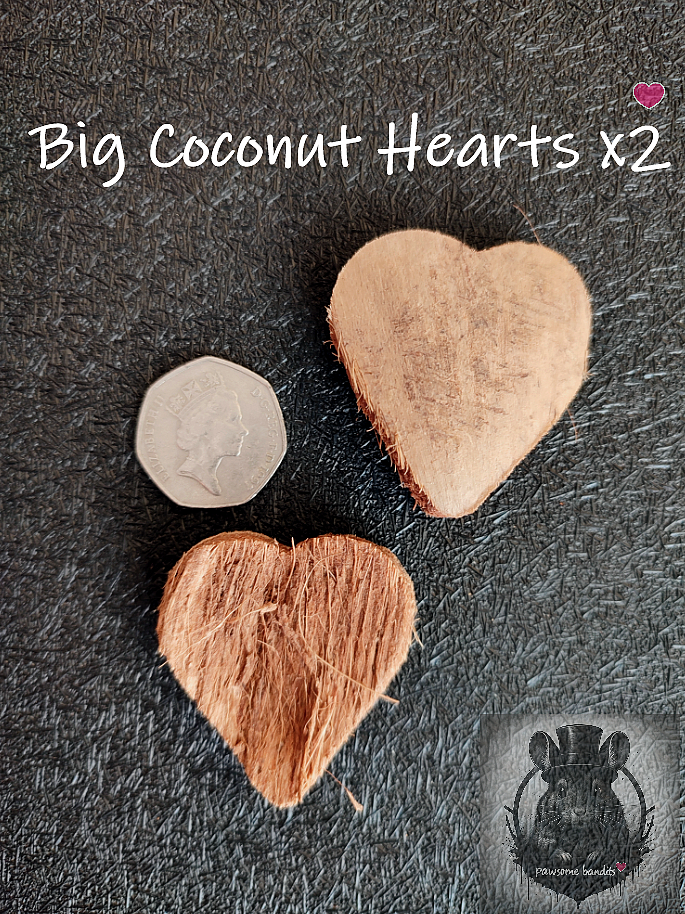 Big Coconut Hearts x2