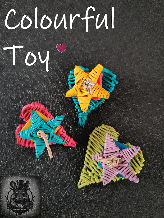 Colourful Toy