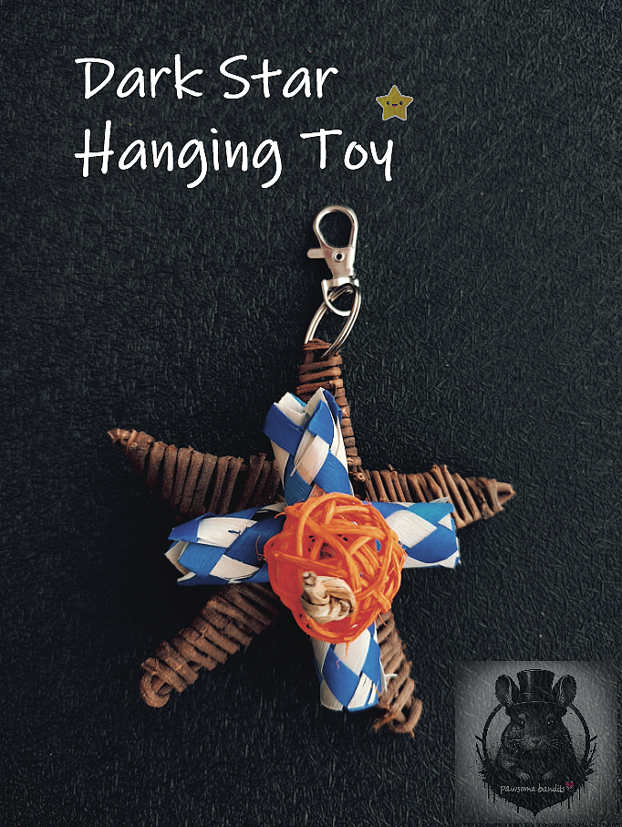 Dark Star Hanging Toy