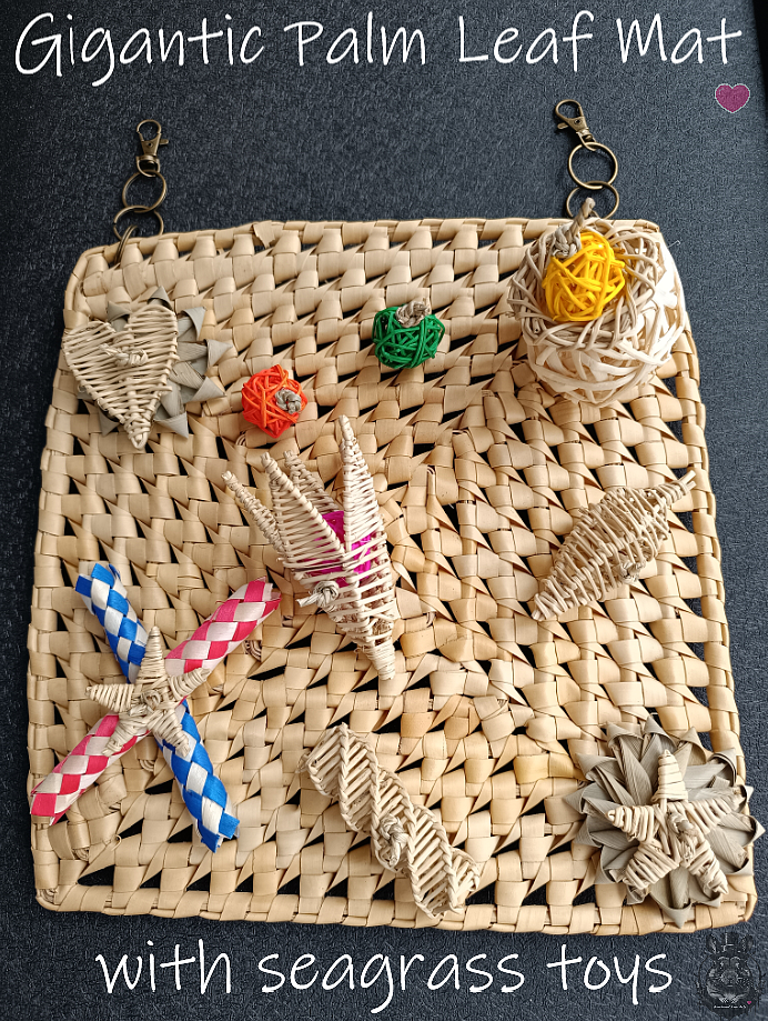 Gigantic Palm Leaf Mat (with seagrass toys)