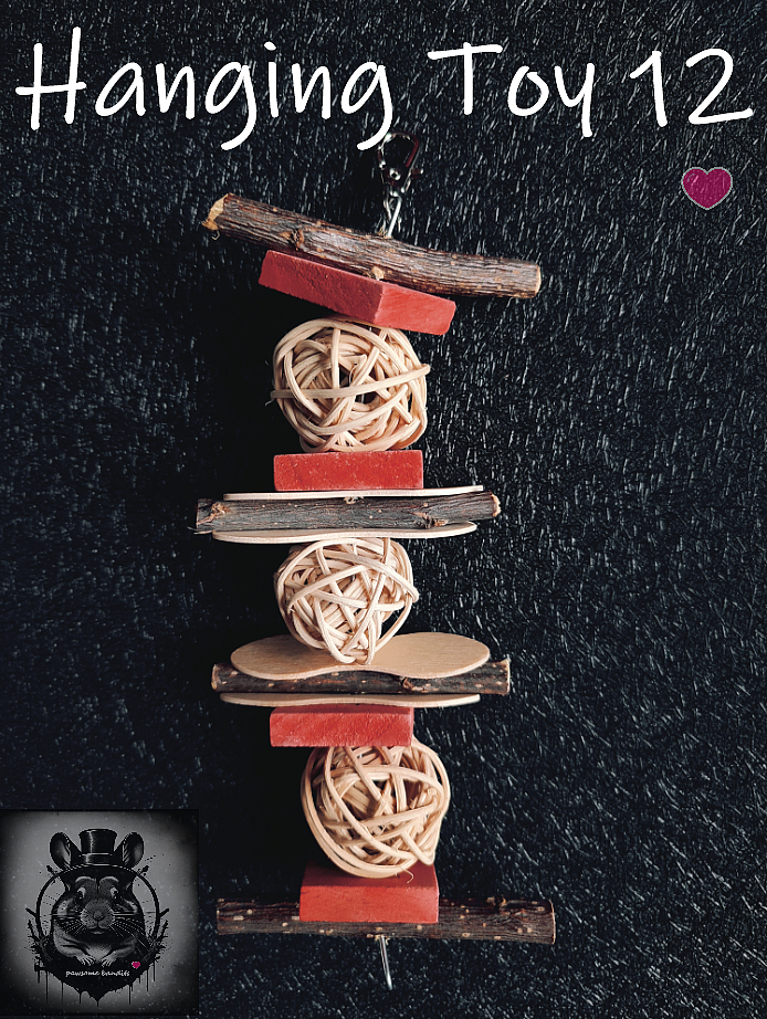 Hanging Toy 12