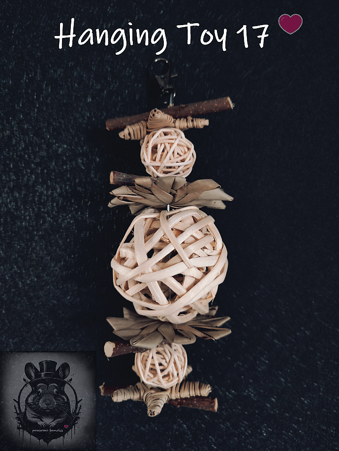 Hanging Toy 17