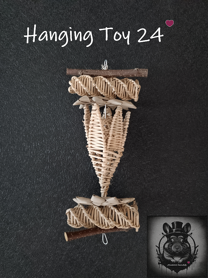 Hanging Toy 24