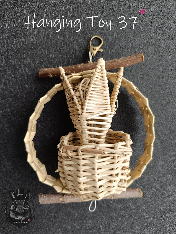 Hanging Toy 37