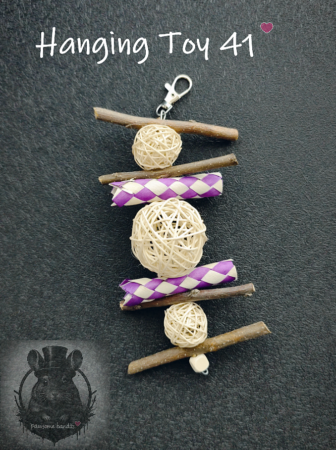 Hanging Toy 41