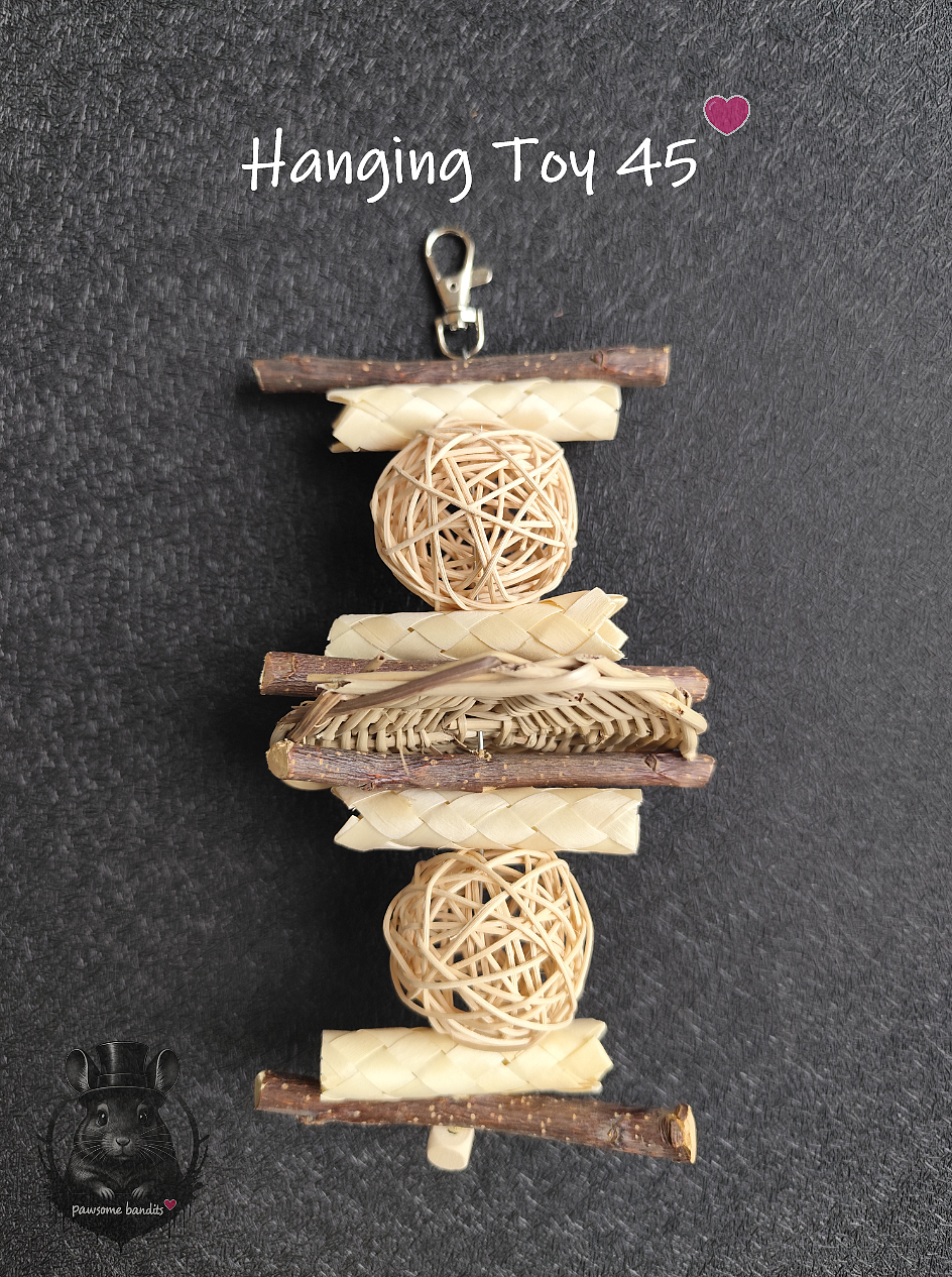 Hanging Toy 45