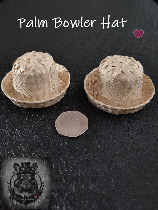 Palm Hat x1