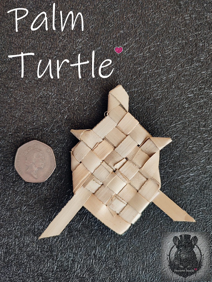 Palm Turtle