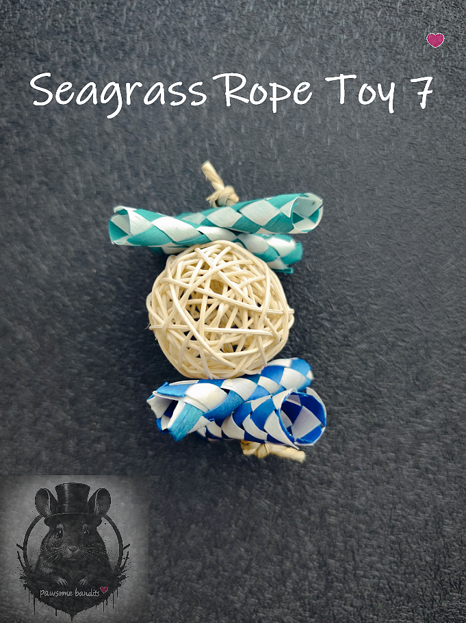 Seagrass Rope Toy 7