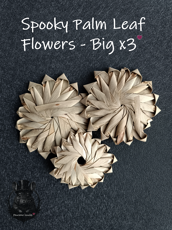 Spooky Palm Leaf Flowers - Big x3