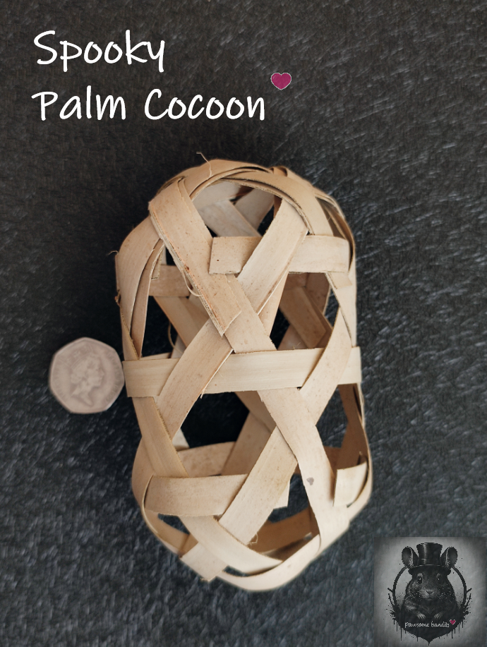 Spooky Palm Cocoon
