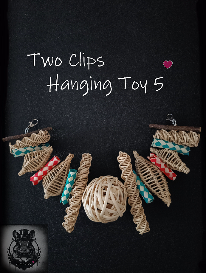 Two Clips Hanging Toy 5