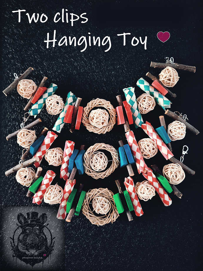 Two clips Hanging Toy 3