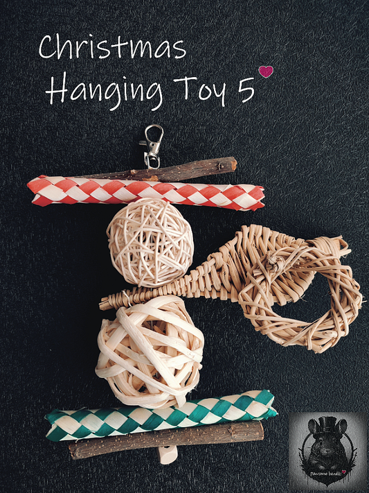 Christmas Hanging Toy 5