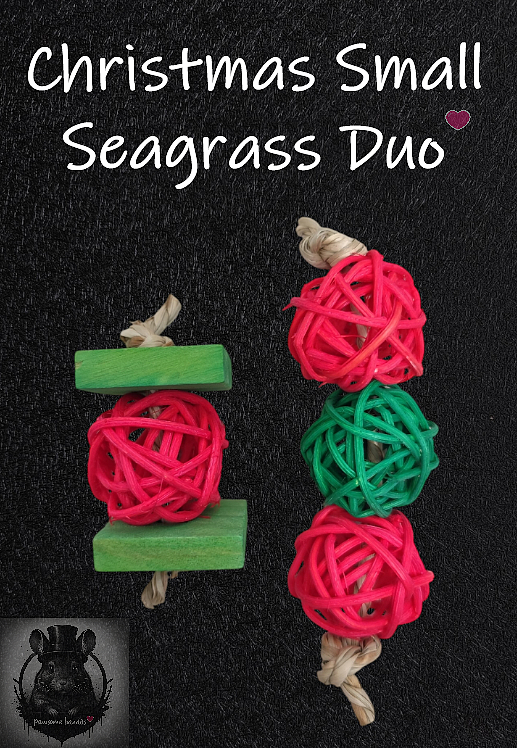 Christmas Small Seagrass Duo