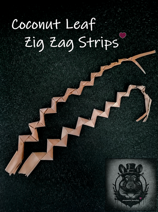 Coconut Leaf Zig Zag Strips x2