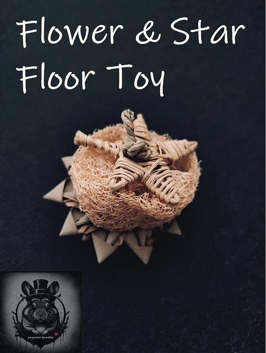 Flower & Star Floor Toy