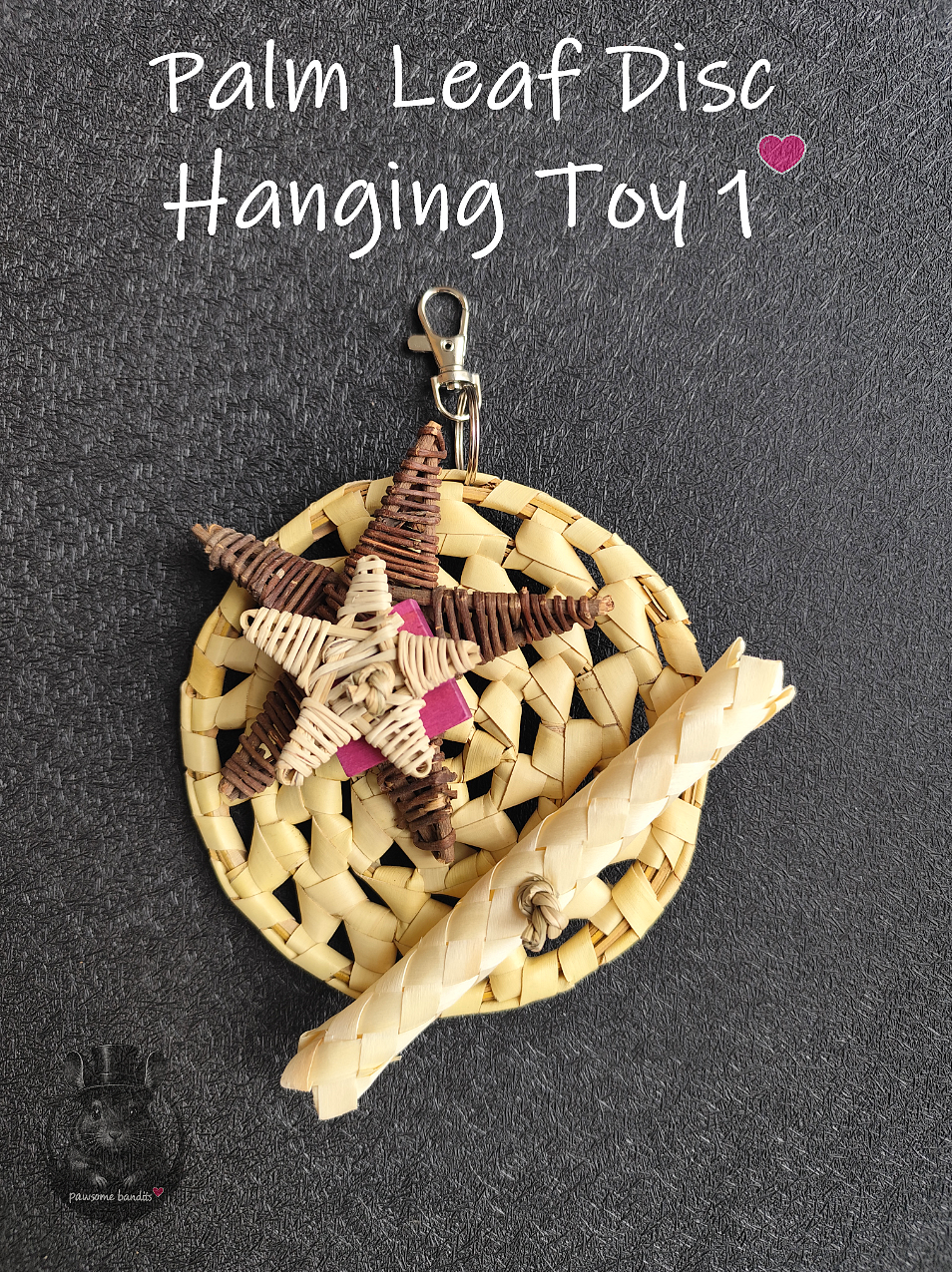 Palm Leaf Disc Hanging Toy 1