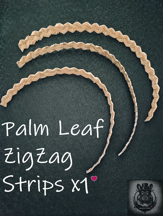 Palm Leaf ZigZag Strips x1