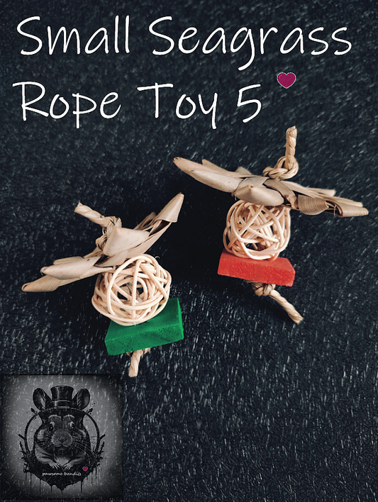 Small Seagrass Rope Toy 5