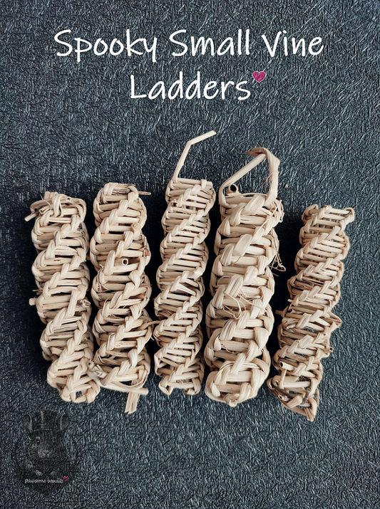 Spooky Small Vine Ladder