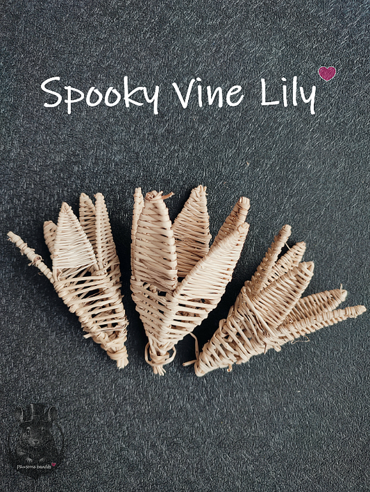Spooky Vine Lily