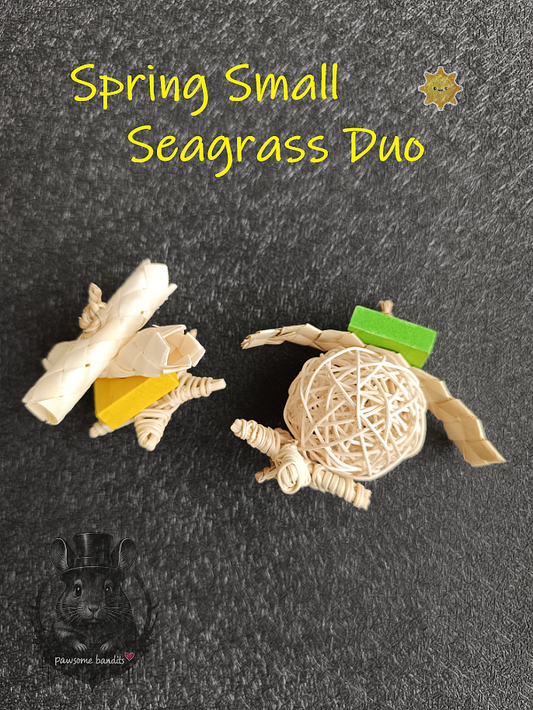 Spring Small Seagrass Duo