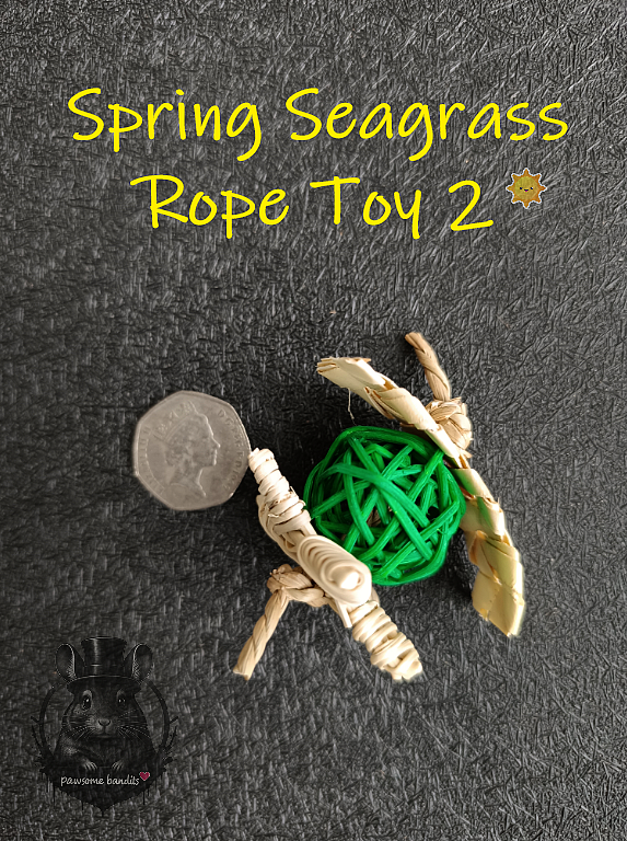 Spring Seagrass Rope Toy 2