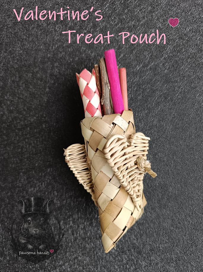 Valentine's Treat Pouch