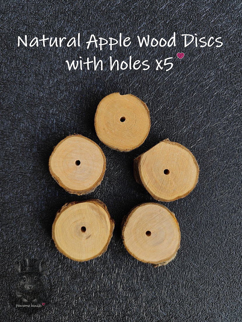 Natural Apple Wood Discs with holes x5