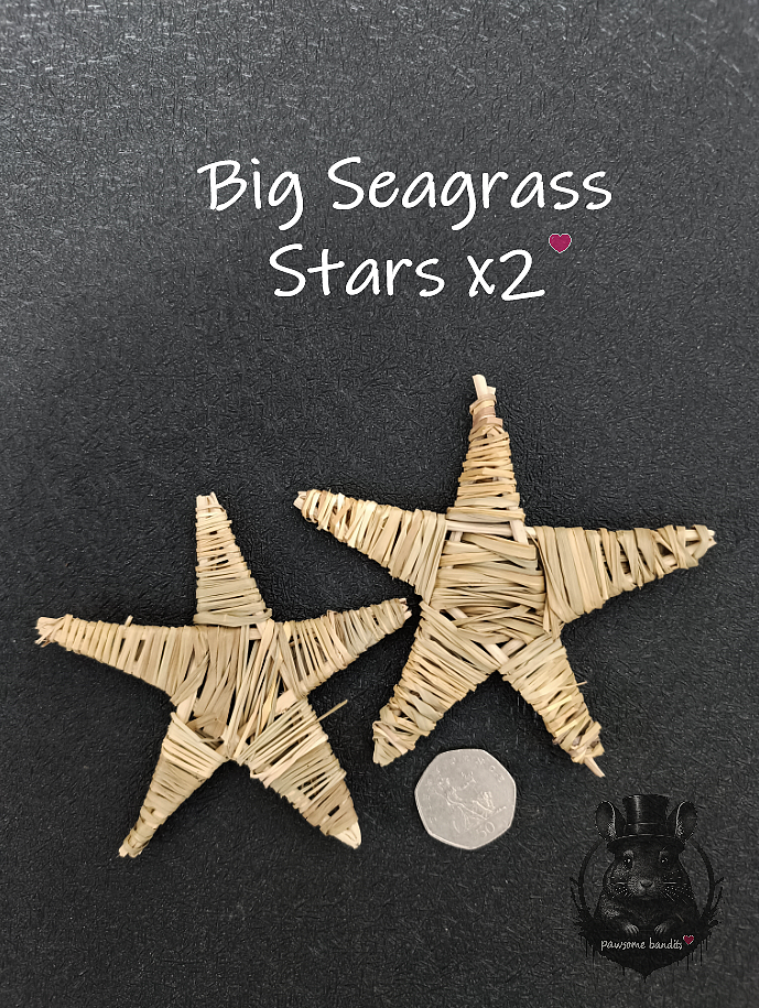 Spooky Big Seagrass Stars x2
