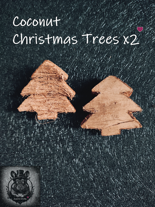 Coconut Christmas Trees x2