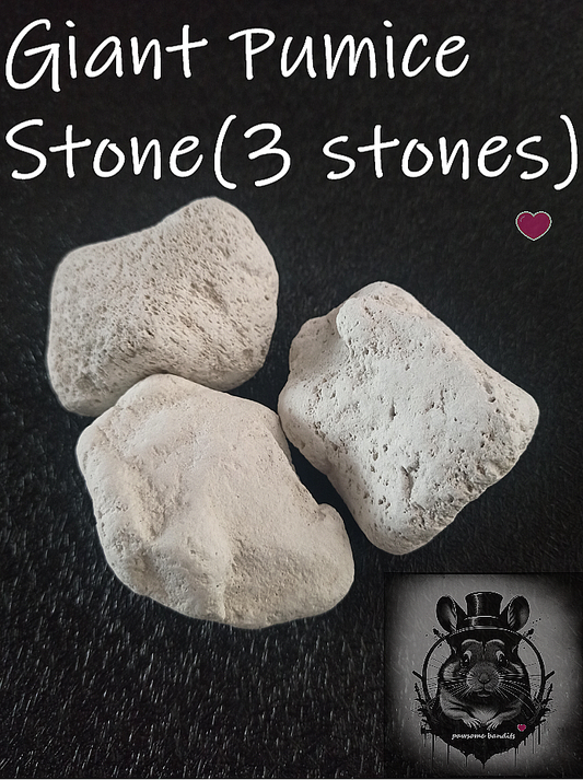 Giant Pumice (3 stones)