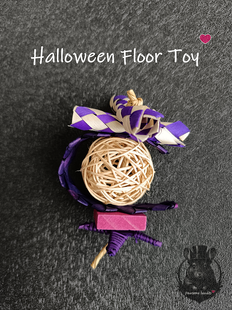 Halloween Floor Toy