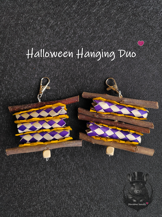 Halloween Hanging Duo