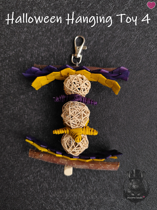 Halloween Hanging Toy 4