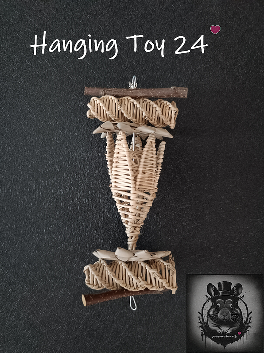 Hanging Toy 24