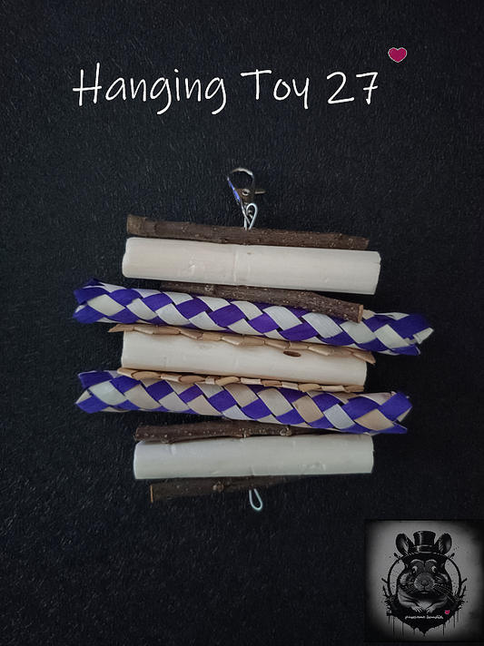 Hanging Toy 27