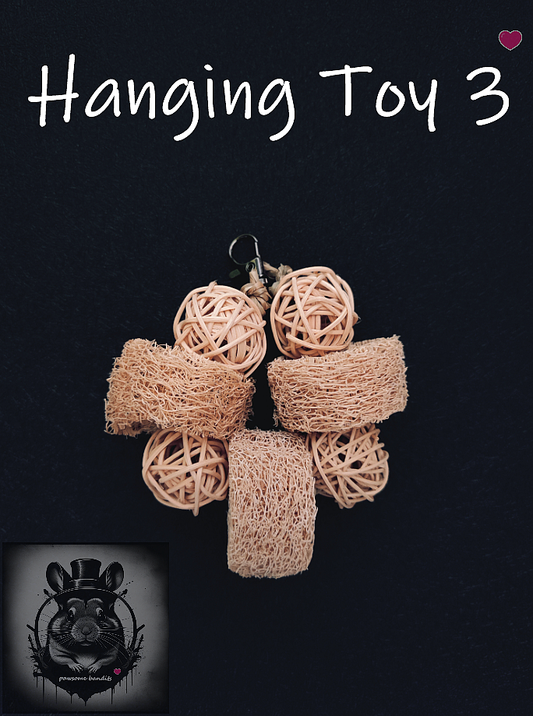 Hanging Toy 3