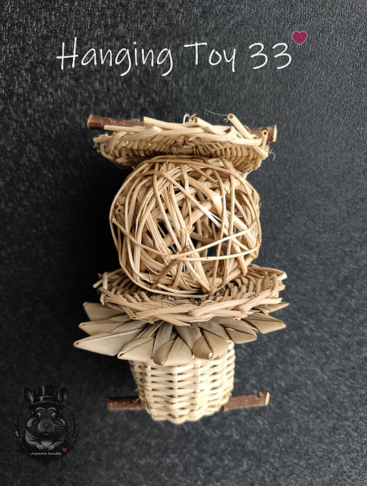 Hanging Toy 33