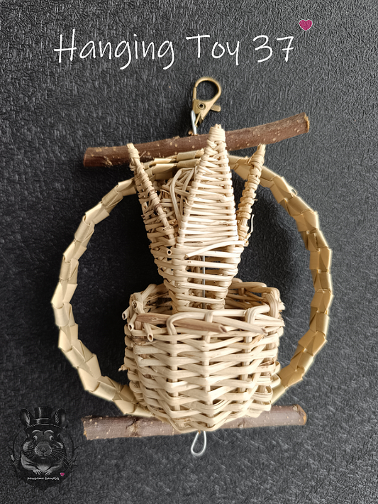 Hanging Toy 37