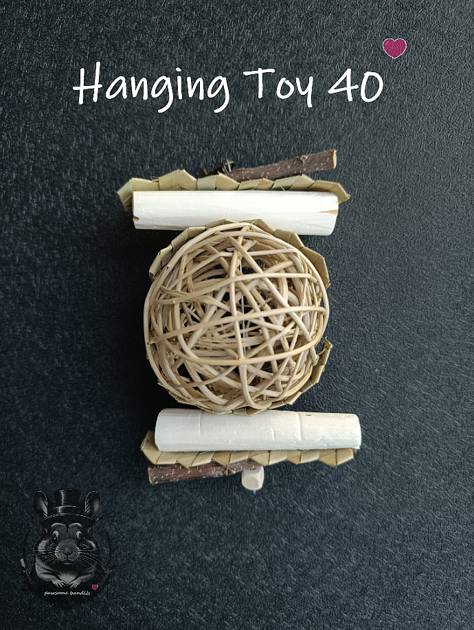 Hanging Toy 40